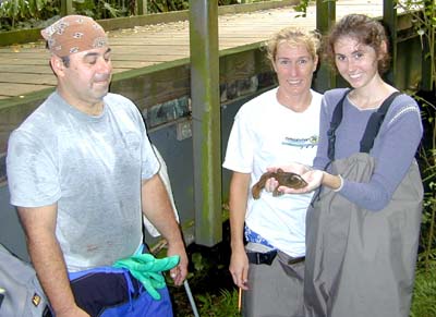 David, Susan, and Mellisa (Dept. of Health) holding an `o`opu taken (temporarily) from a tributary of Kane`ohe Stream