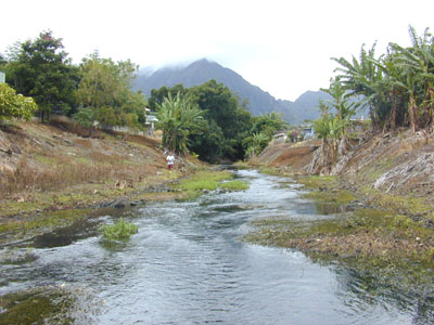 Photo 19. Looking upstream at Kane`ohe Stream just above the estuary