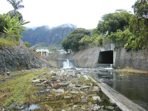 Photo 17. Kamo`oali`i and Kapunahala streams flow together to form Kane`ohe Stream