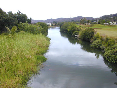 Photo 20. Looking down the estuary of Kane`ohe Stream from Bay View Golf Course bridge