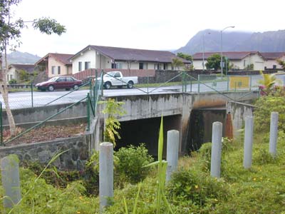 Photo 4, Culvert at Pookela St (Eric Guiinther)