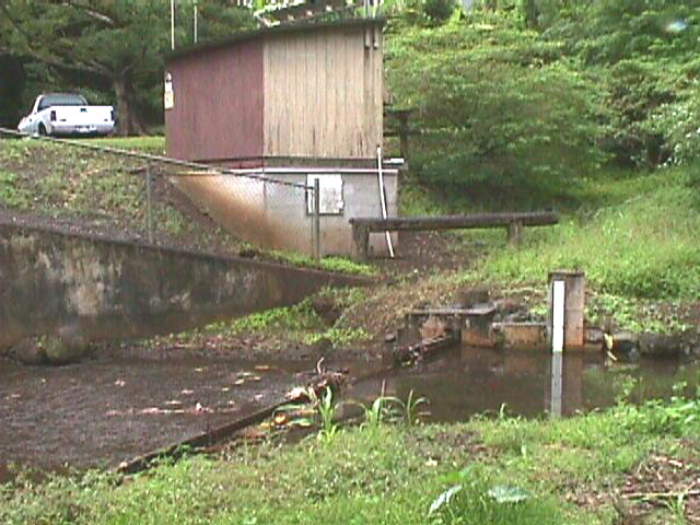 Luluku Stream at Hoomaluhia Road bridge (photo by Bob Bourke)