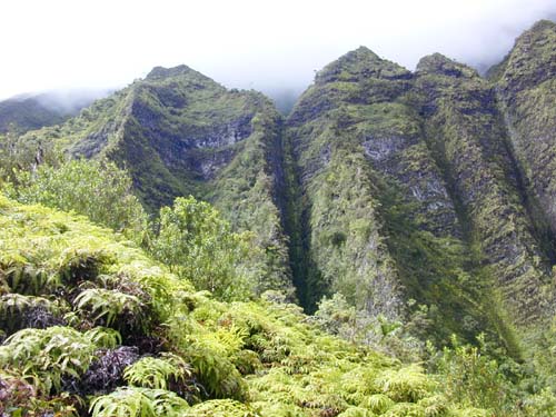 face of the pali (photo by Eric Guinther)