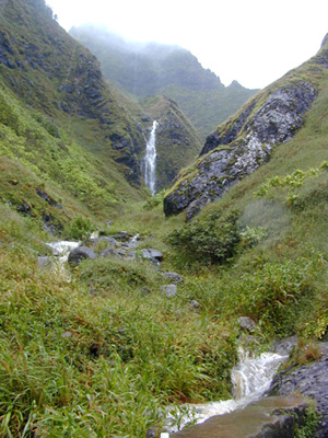 Headwaters of Komo`oali`i Stream above Old Pali Road