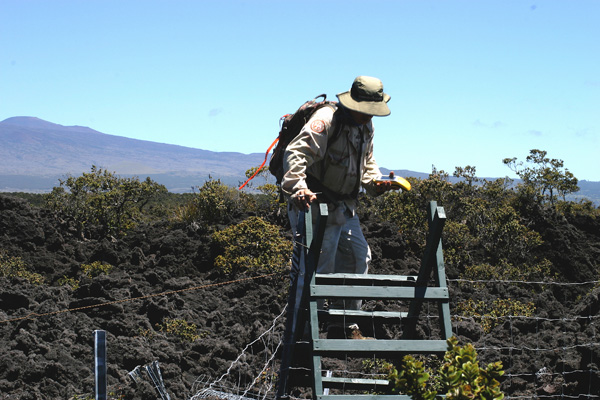 David climbing into wetland exclosure