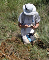 Wetland delineation