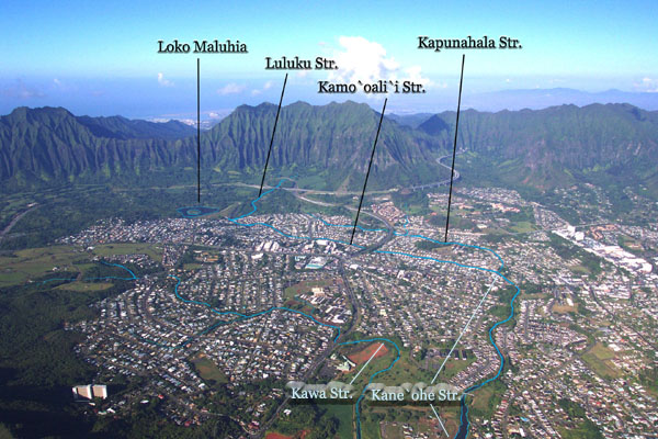 Photo 15: Aerial photograph of Kane`ohe by Brian Daniel