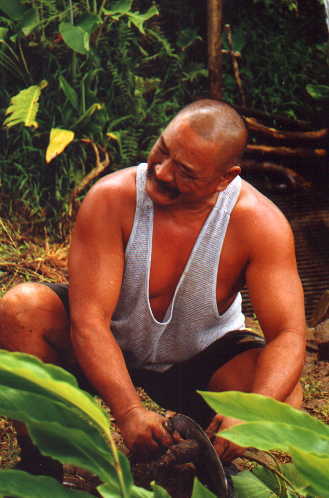 Kaipo Gorai
