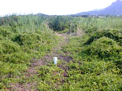 PVC Well A1 near Na Pohaku o Hauwahine