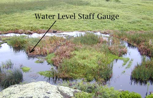 Staff gauge at Na Pohaku o Hauwahine at time of high water on January 29, 2002